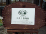 P1000419.JPG