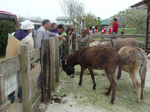 P1000436.JPG
